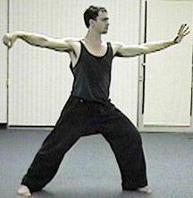 Tai Chi Single Whip