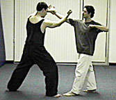 Hsing Yi Fighting Practice